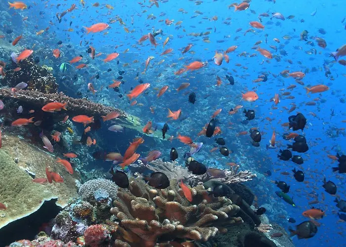 Garuda & Nusa Penida 2* Toyapakeh
